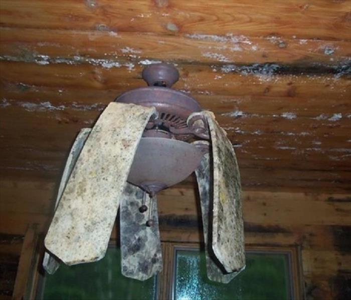 damaged ceiling fan