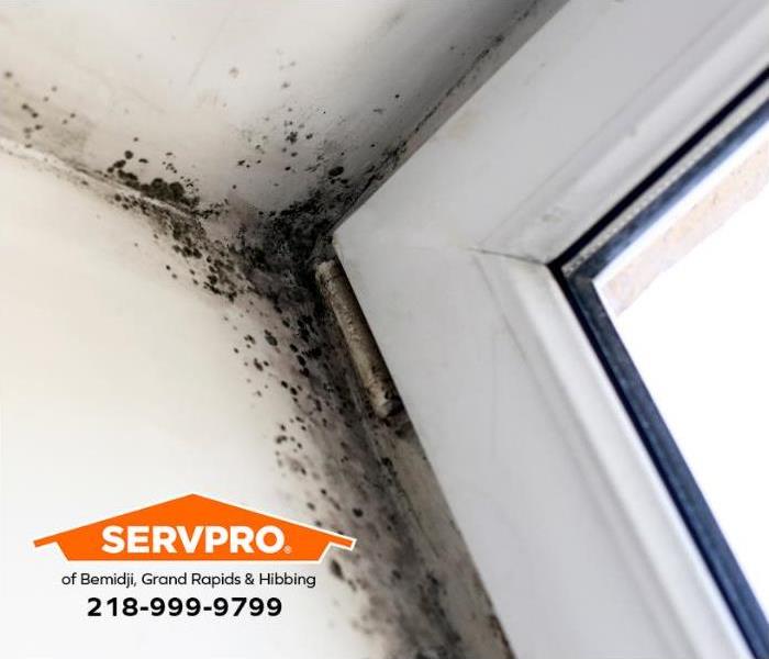 Mold grows on a wall by a leaking door frame.